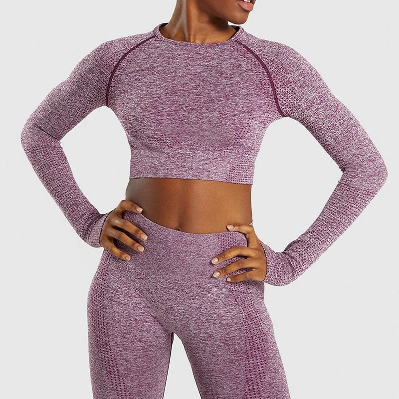 2Pc Seamless Yoga Set Leggings and Crop Top